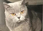 Gracy Profile
