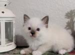 Charlie Profile