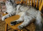 Meeka Profile