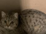 Boris Profile