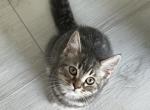 Mimi Profile