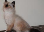 Parker Profile