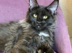 Delmar Polydactyl Profile