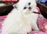 Ismay Profile