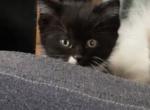Larry Profile