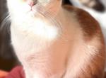 Oscar Profile