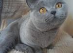 Nella Profile