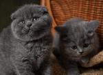 Billy &Buster Profile