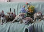 Winter and Mauis babies Profile