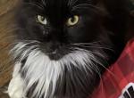 Polly Profile