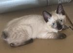 QUEENIE MANX Profile