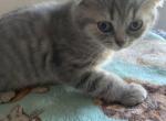 Buddy Profile
