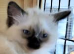 Mr Magoo Profile