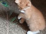 Hl tiny Profile