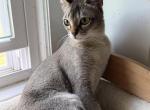 Ruthie Profile