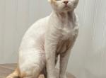 Tima Profile