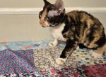 Patches Profile