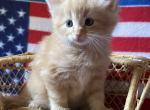 Buddy Profile