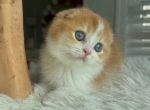 Rudy Profile