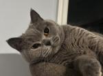 Gracy Profile
