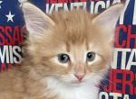 Tigger Profile