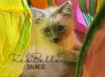 Pepper RESERVED Profile