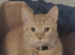 Gunther Profile
