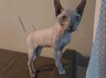 Meet Cosmic Profile