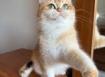 Quincy Profile