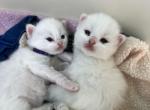Brooklyn and Dakotas loving babies Profile