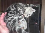 Loly Profile