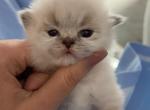Cutest boys available Profile