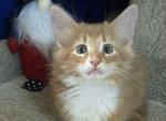 Tigger Profile