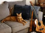 Jonesy Profile