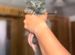 Blue Female Maine Coon Kitten Profile