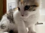 not named Profile
