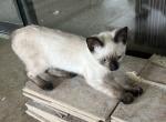 QUEENIE MANX Profile