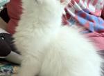 Baby Profile