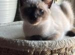 Mable Profile