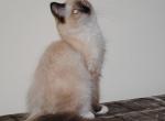 Parker Profile
