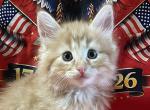 Fritz Profile