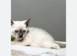 Zamira Profile
