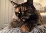 Mona Profile