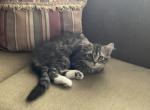 Mindy Profile