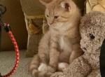 Milo Profile