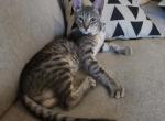 Luna Profile