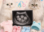 Due September 1st Profile