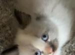 Baby female Profile