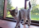 Mrs Kitty And Keeper Profile