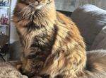 Arya Profile